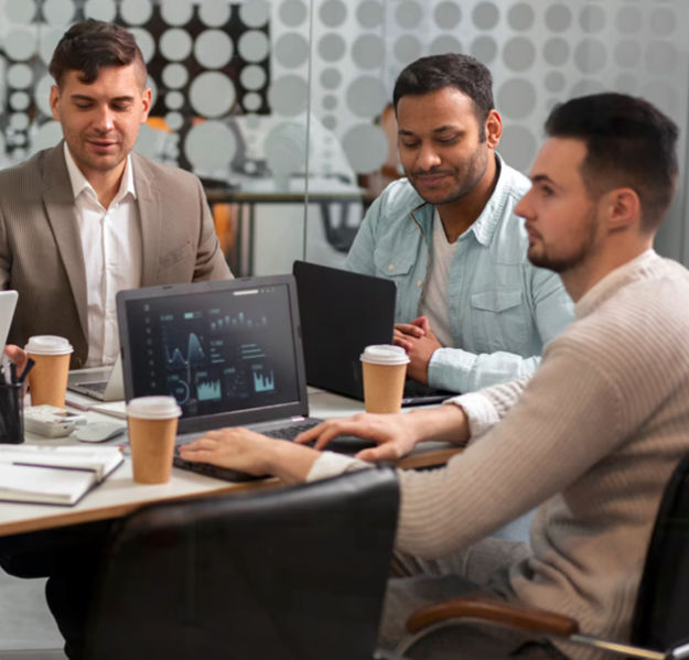 Developer Consultancy